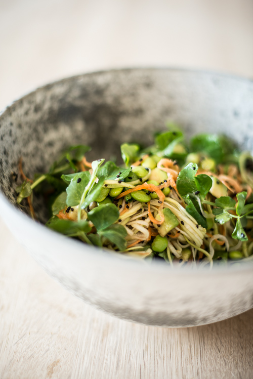 Knasende sprød salat med japanske undertoner