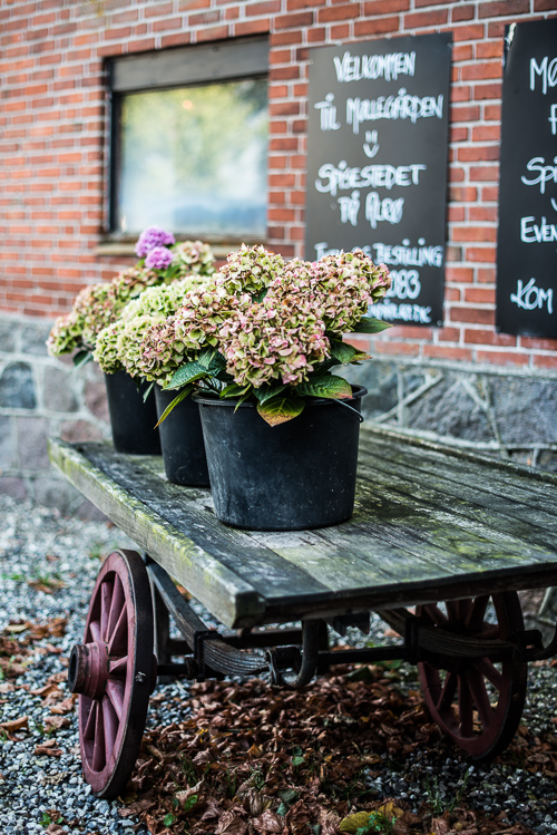 Der er slet ingen tvivl om, at vi er på vej ind i en stald