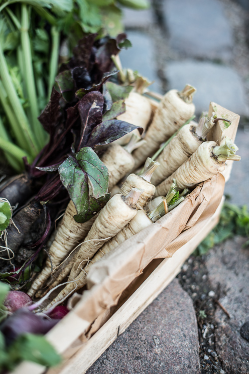 Biodynamiske grøntsager fra Lolland