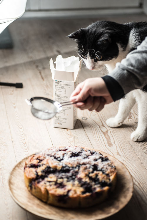 Behind the scenes: En nysgerrrig kat ser till (heldigvis spiser han ikke menneske-føde)